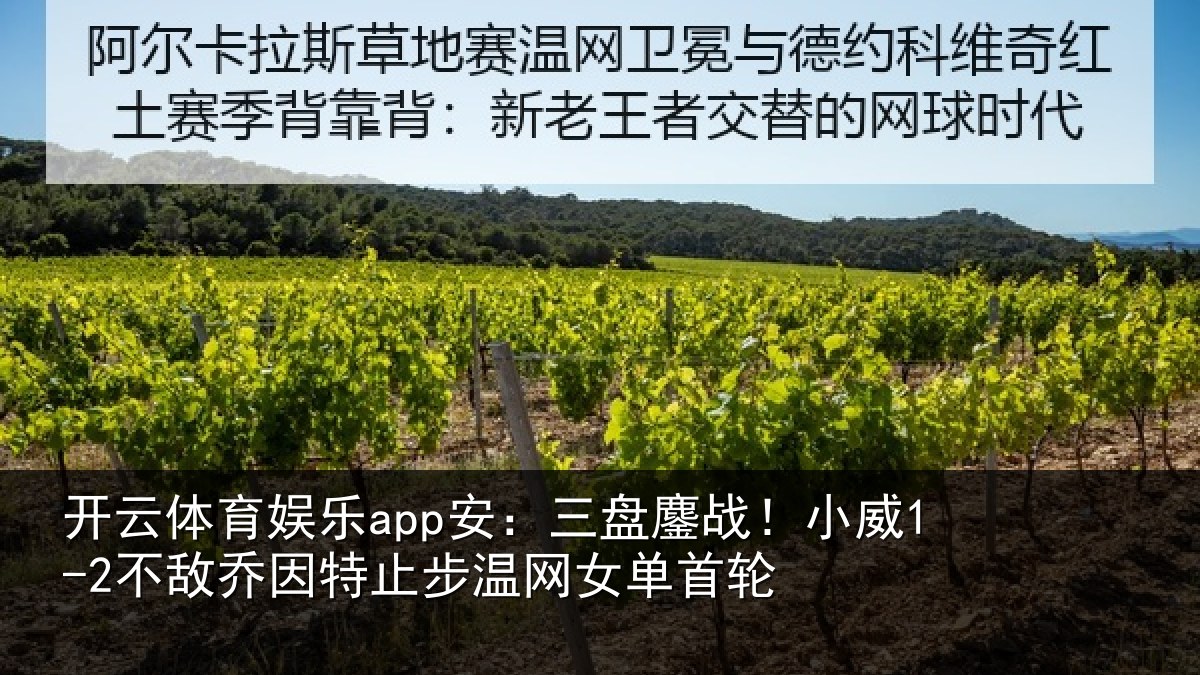 开云体育娱乐app安:三盘鏖战!小威1-2不敌乔因特止步温网女单首轮